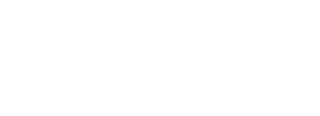 Vizly